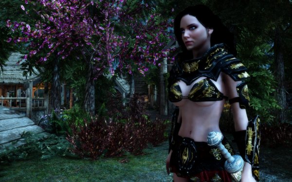 SkyrimSE Сборка 5.1