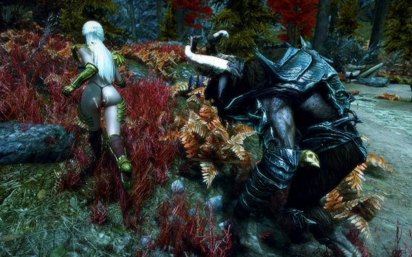 TESV 2019-02-28 14-20-27-57