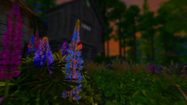 Красота в деталях. Enderal