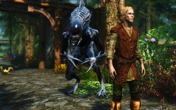 TESV 2019-03-27 21-50-43-95