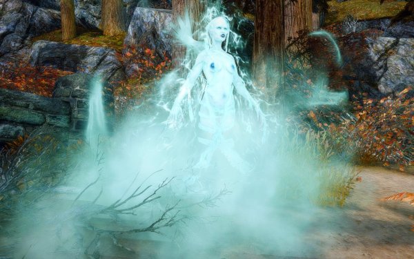 TESV 2019-02-28 13-05-55-61