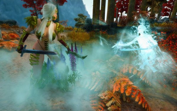 TESV 2019-02-28 13-10-15-81