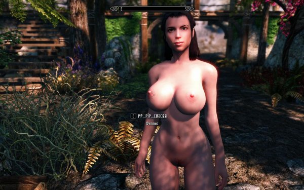 SkyrimSE  Сюжетная линия, новое начало...