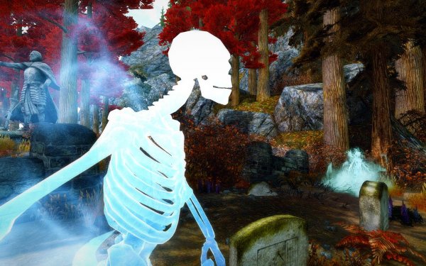 TESV 2019-02-28 13-08-46-20