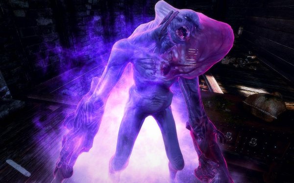 TESV 2019-02-28 13-52-49-44