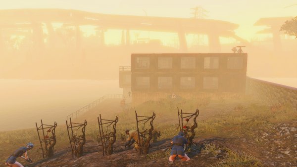 С рассветом на грядках. Альянс.