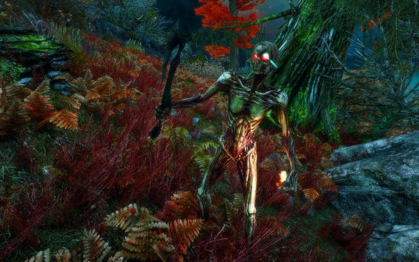 TESV 2019-02-28 13-46-29-61