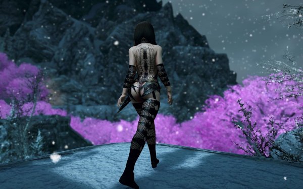 TESV 2019-03-22 12-46-46-30