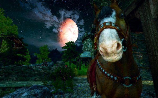 Я лучше чем осел, возьмите менЯЯЯЯЯ.