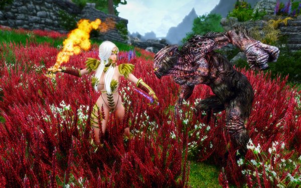 TESV 2019-02-28 12-48-00-44