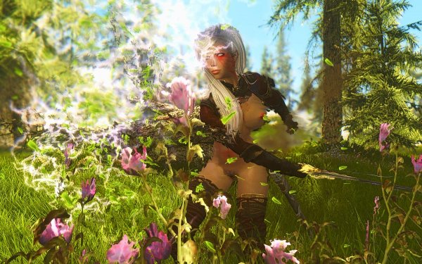 TESV 2019-04-03 21-57-57-98