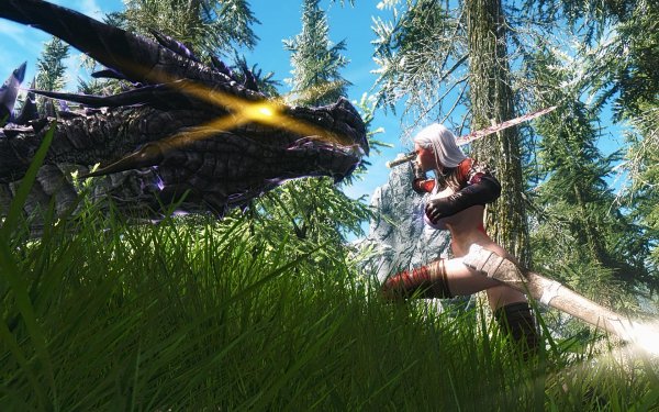 TESV 2019-04-03 21-55-51-82