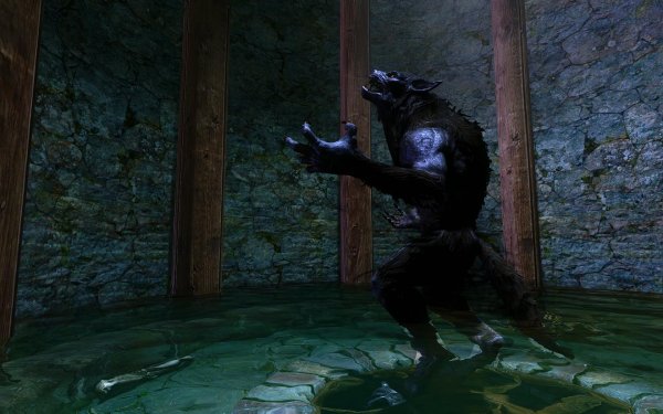 TESV 2019-04-01 15-00-48-16