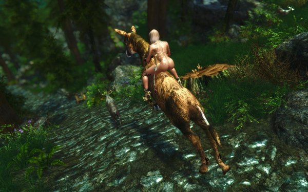 TESV 2018-01-25 21-42-25-61