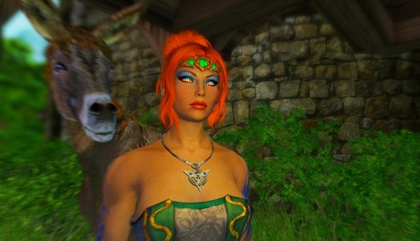 Избавила от троля - получи осла! Enderal