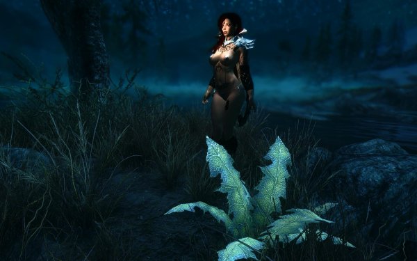 TESV 2019-04-19 20-43-35-74