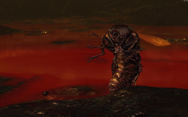 Fallout4 2019-04-13 10-43-20-51