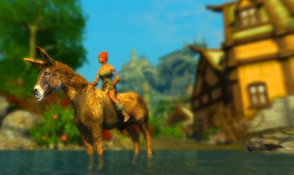 И были мы с ослом - не разлей-вода! ))