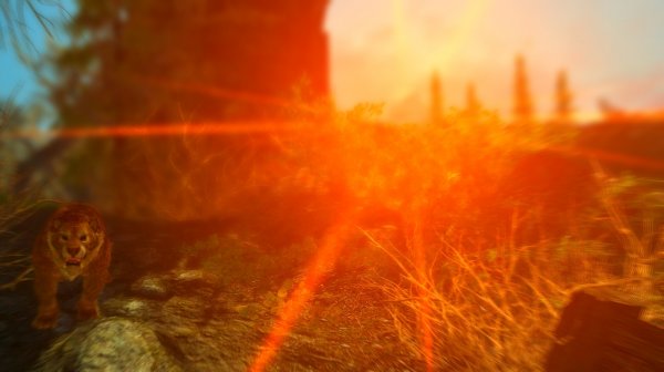 Последние лучи уходящего солнца. Эндерал