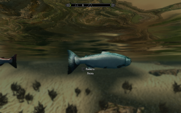 Рыбка плавает по дну...