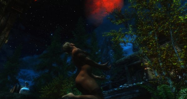 Полнолуние. Время пришло...