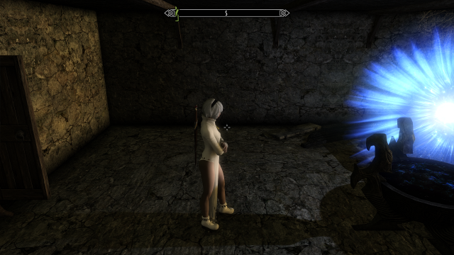 SkyrimSE 2019-05-28 21-30-24.png