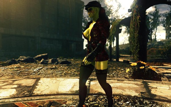 Fallout4 2019-05-28 10-39-59-24