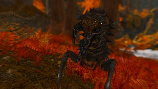 Монстра. Enderal