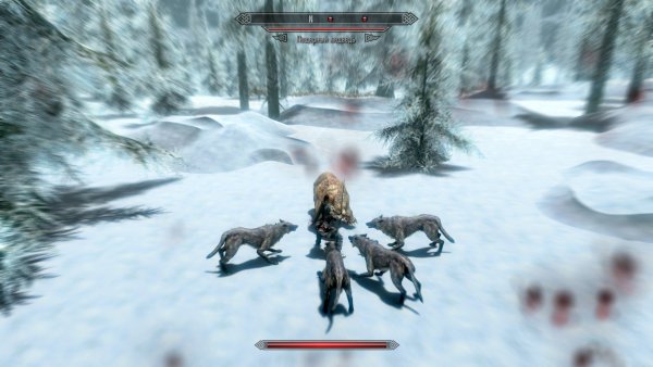 Paradiseplace North Fjords