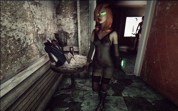 Fallout3 2019-06-20 11-01-02-00