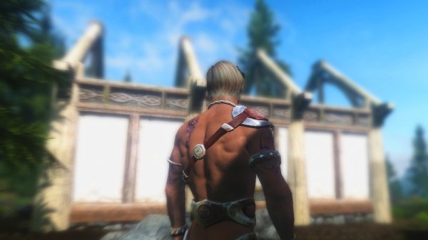 Эйран строит дачу.