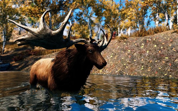 SkyrimSE 2019-06-30 12-30-10-76