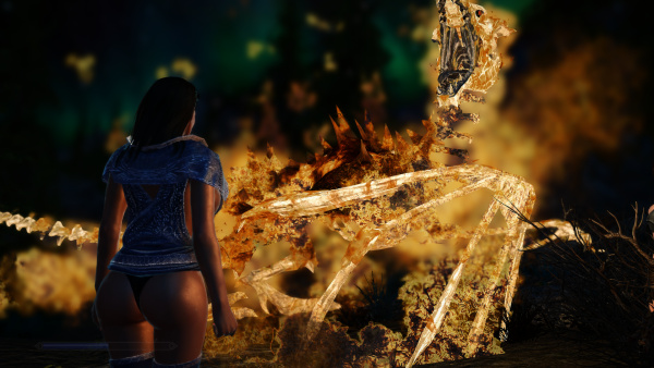 SkyrimSE 2019-07-22 14-06-02-02.png