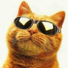 baikal1891m@yandex.ru