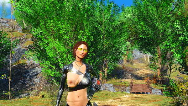 Возде Сэнкчуари. Fallout4