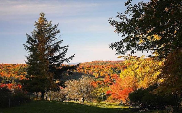 autumn_berkshires_massachusetts.jpg