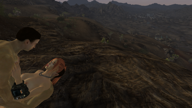 Fallout - New Vegas Screenshot 2019.11.03 - 11.16.34.13.png