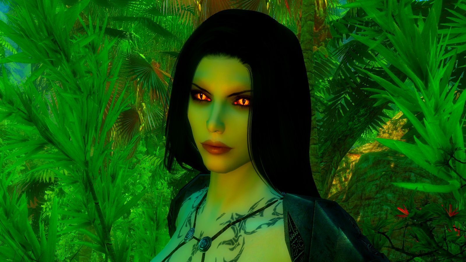 Пресет Racе Menu Skyrim LE - Нора