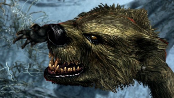 Медведи-оборотни на Солстейме... SkyrimSE