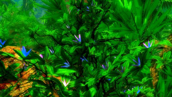 SkyrimLE (Тропики 4.0)