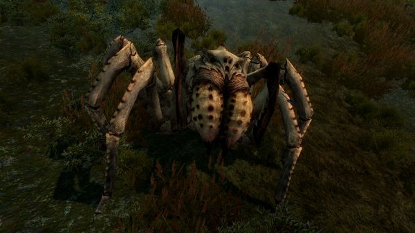Гигантский паук.. SkyrimLE (4.0 сборка)