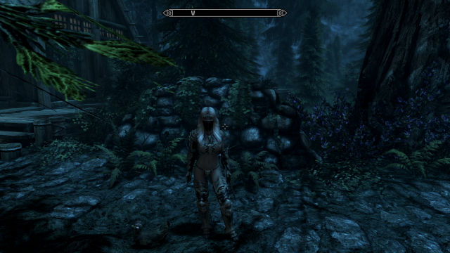 The Elder Scrolls V  Skyrim Special Edition Screenshot 2020.01.22 - 19.35.09.17.png