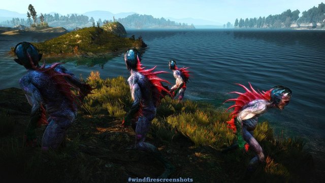 witcher3 2020-01-29 17-17-09-70.jpg