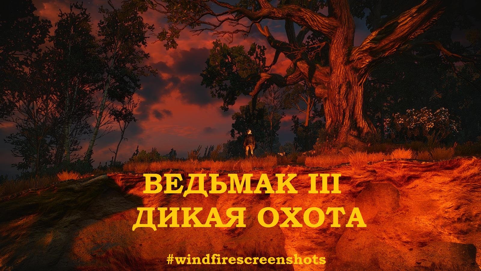 WITCHER III - глазами Windfire
