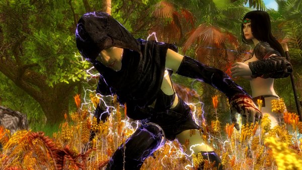 Нора в бою с ведьмой.. SkyrimLE (тропики 4.0)