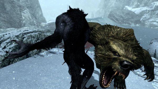 Разборки с медведями-оборотнями.. SSE