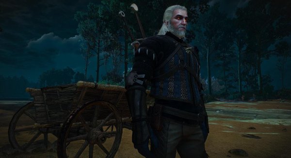witcher3 Вблизи Белого Сада..