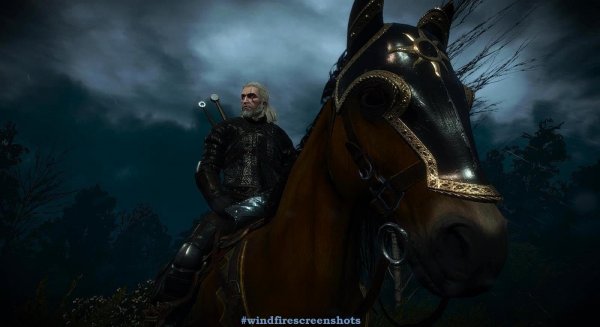 Поднялся ветер и погода испортилась.. witcher3