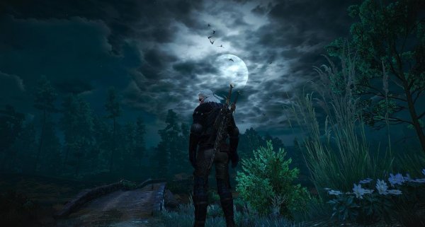 witcher3 2020-01-28 21-09-04-26