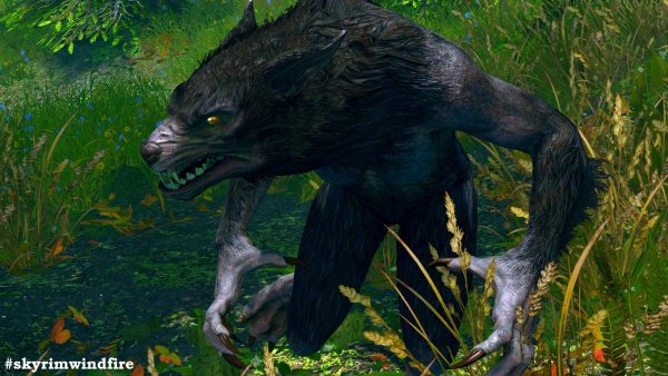 Вервольф в - SkyrimSE (сборка 6.0)